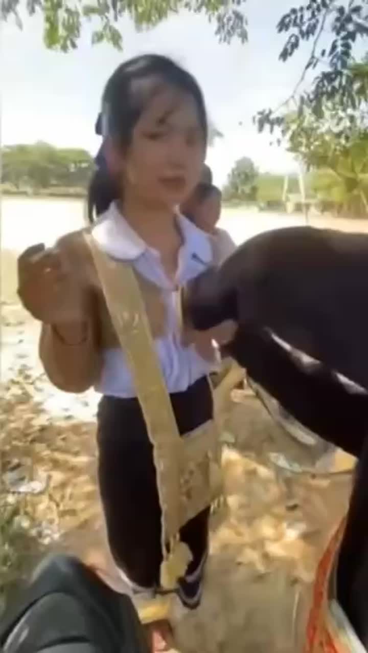 石头剪刀布